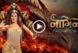Naagin 7